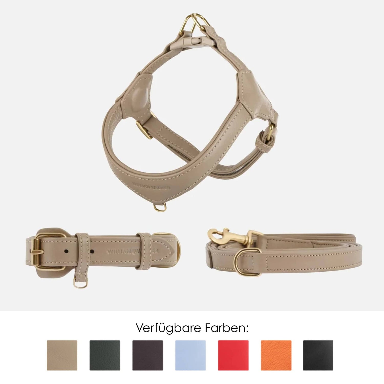 Geschenke für Hundebesitzer: 17 stilvolle Ideen für Premium-Momente mit Hund
