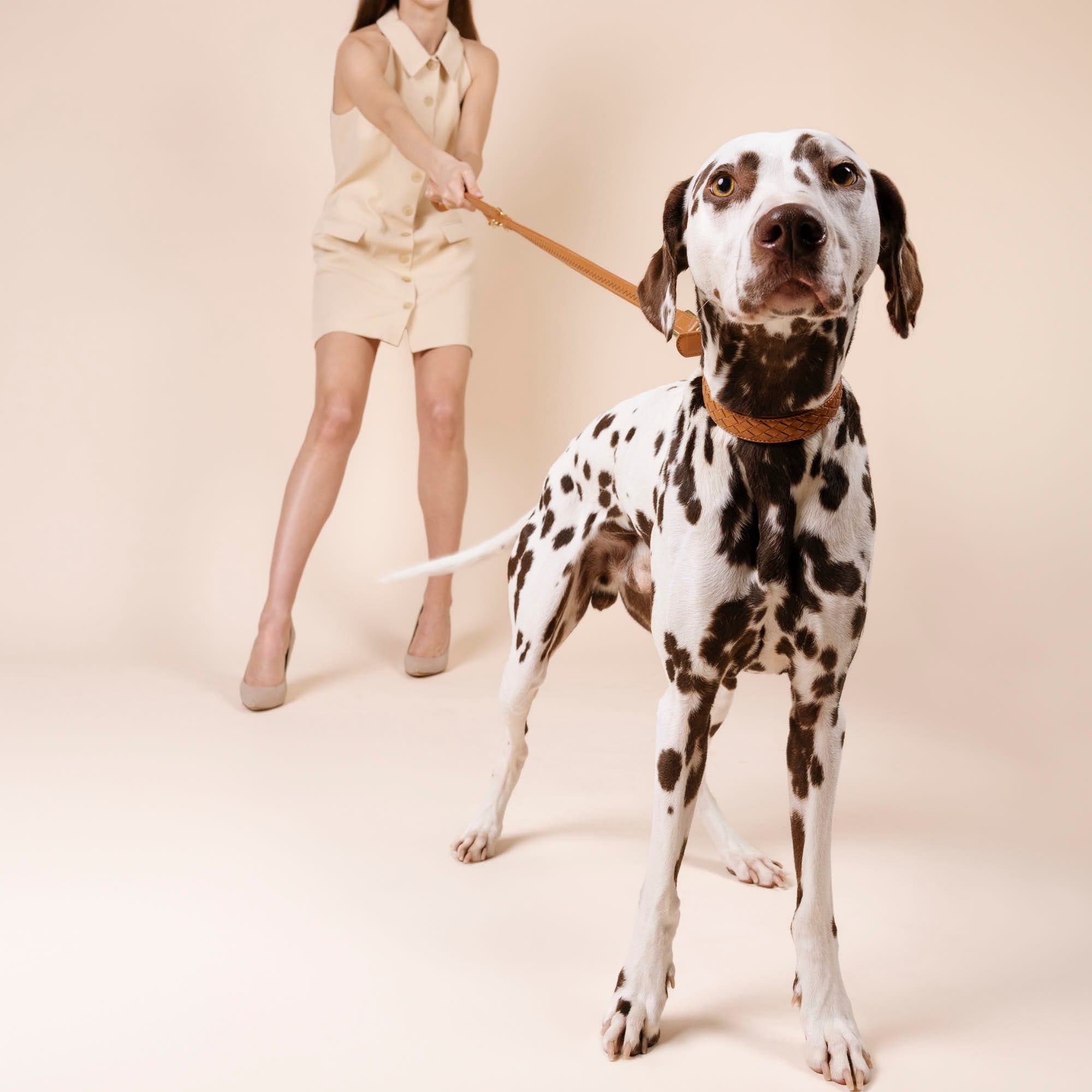 William Walker Hochwertige Leder Hundeleine Prestige Caramel