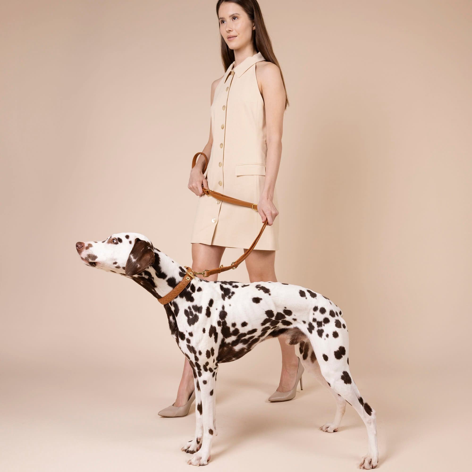 William Walker Hochwertige Leder Hundeleine Prestige Caramel