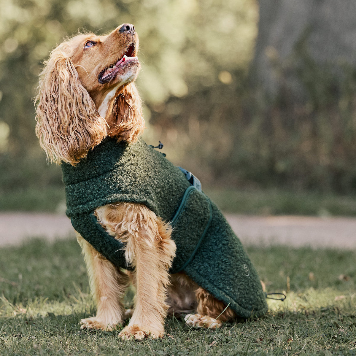 William Walker Cappottino in pile per cani Cozy