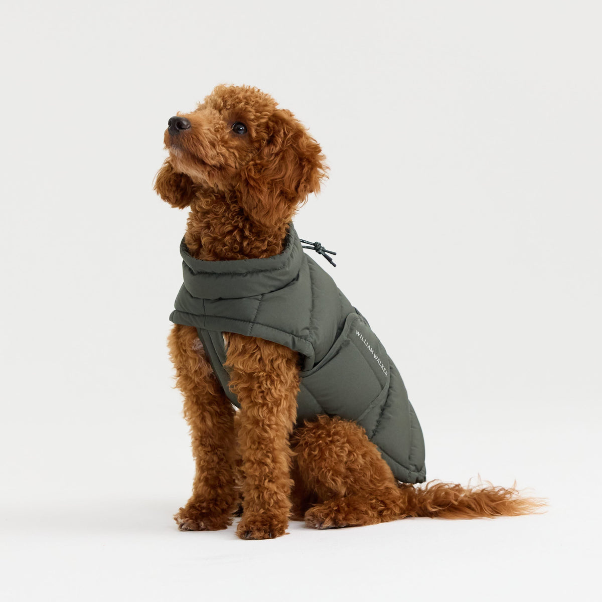 William Walker Cappottino invernale caldo per cani Alpine