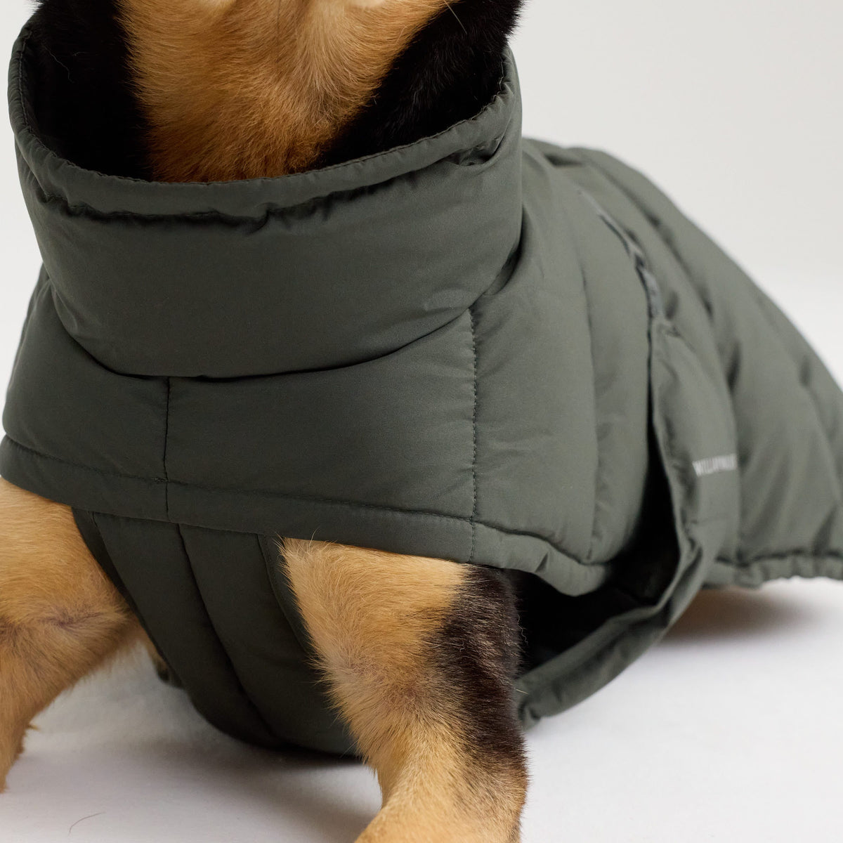 William Walker Cappottino invernale caldo per cani Alpine