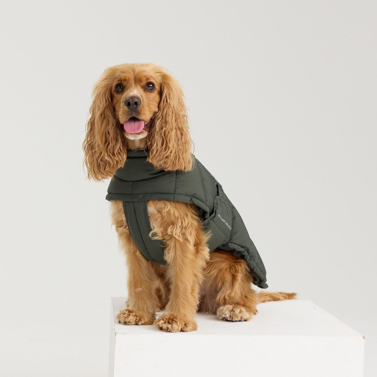 William Walker Cappottino invernale caldo per cani Alpine