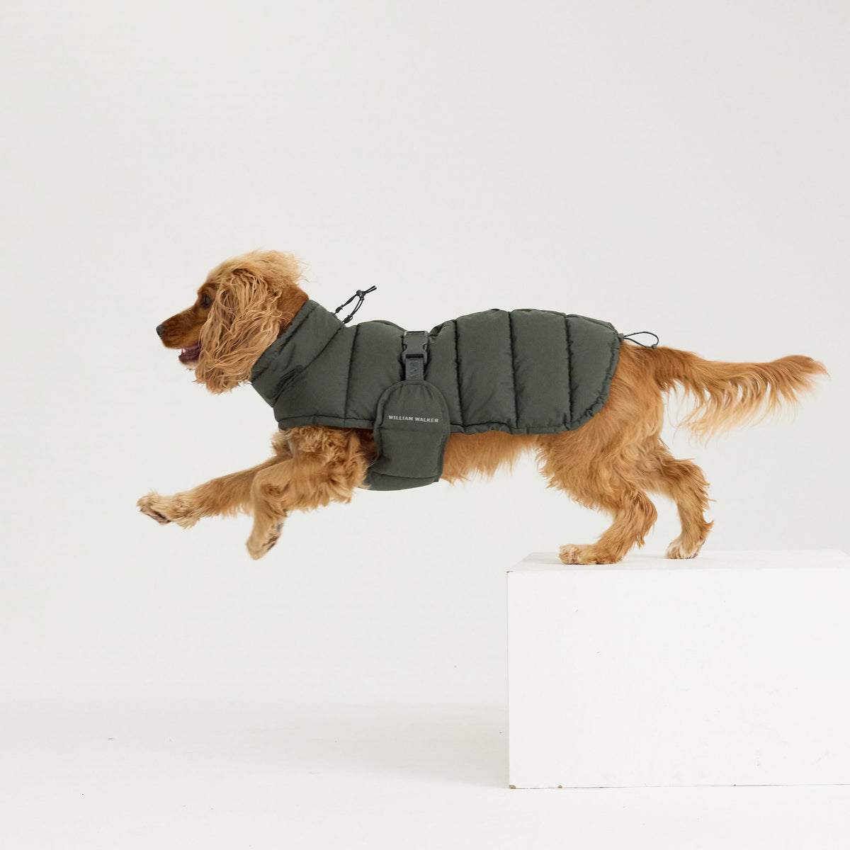 William Walker Cappottino invernale caldo per cani Alpine