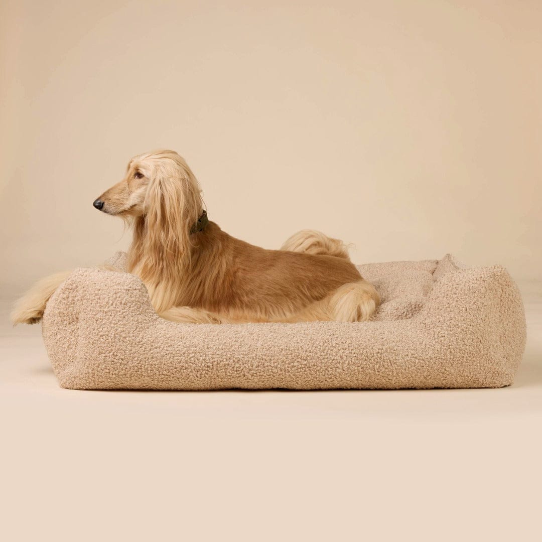 William Walker Orthopädisches Hundebett Cozy