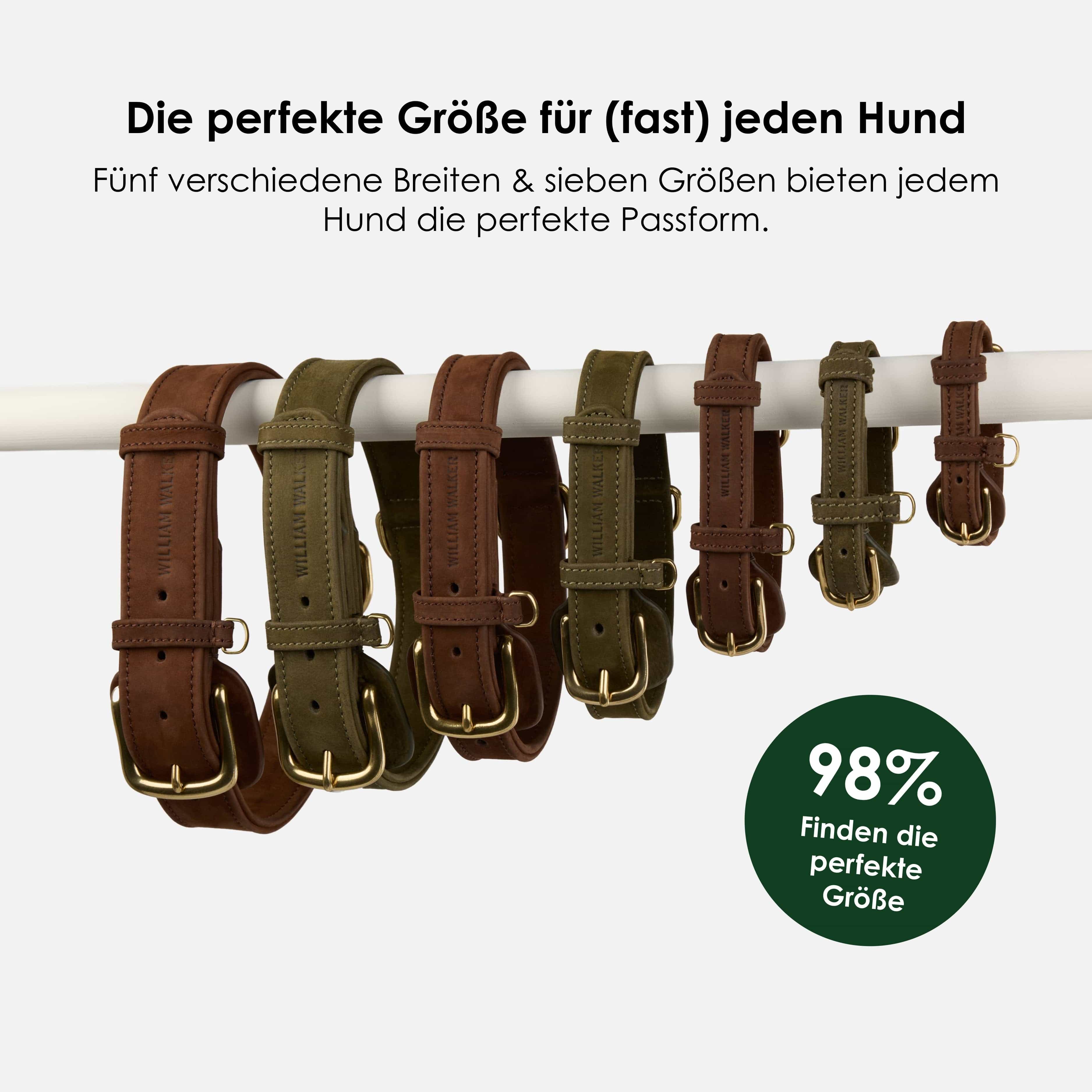 William Walker Hundehalsband aus wasserfestem Nubukleder