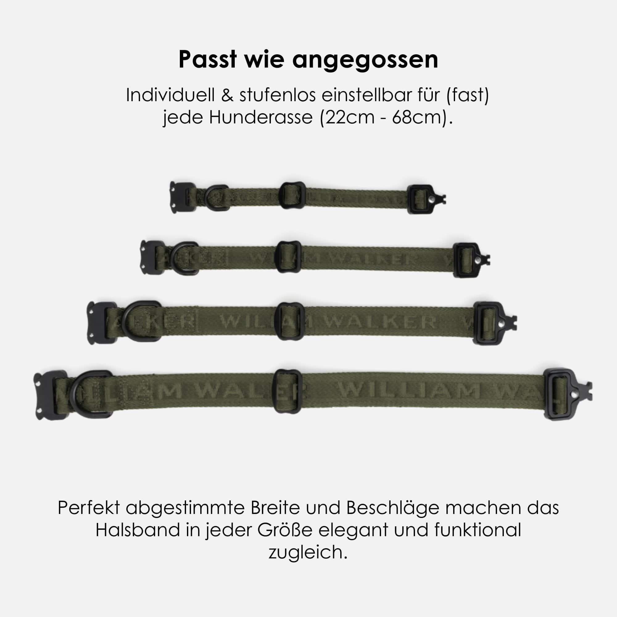 William Walker Jacquard Nylon Hundehalsband Forest (grün)