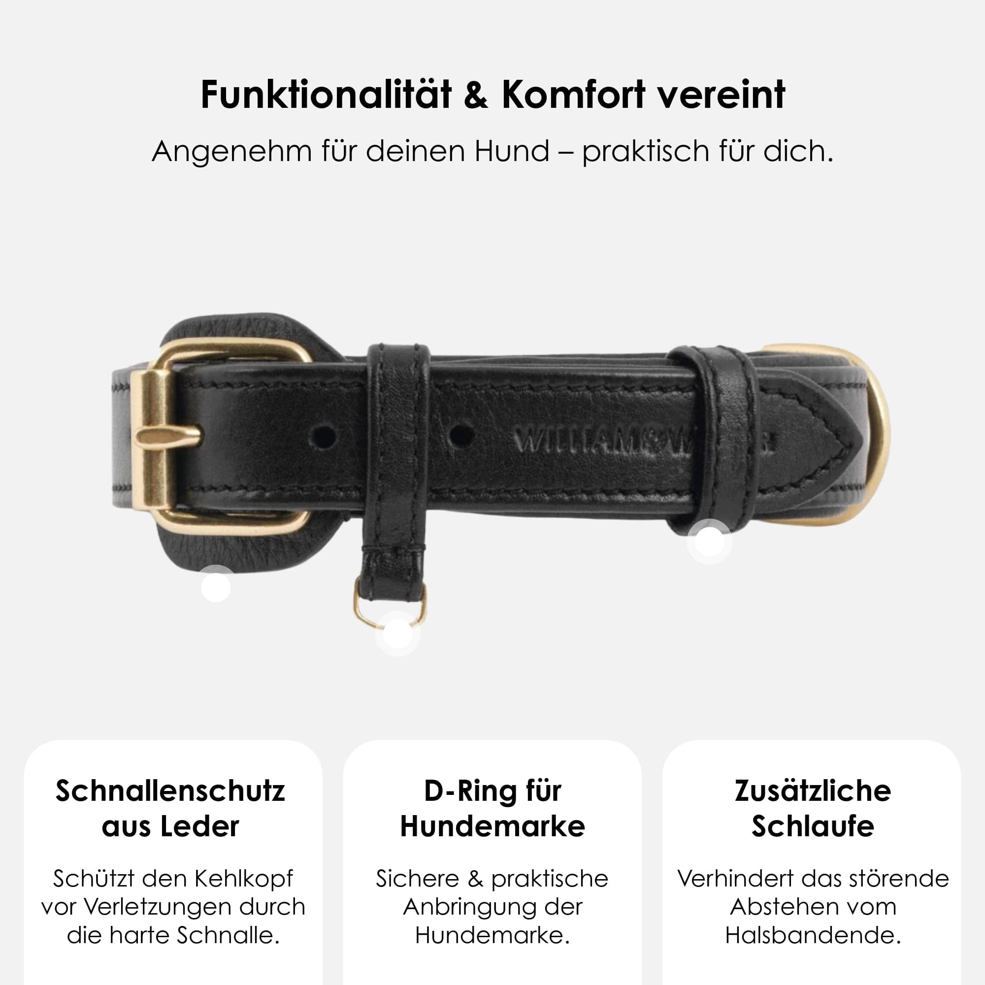 William Walker Leder Hundehalsband Noir (Schwarz)