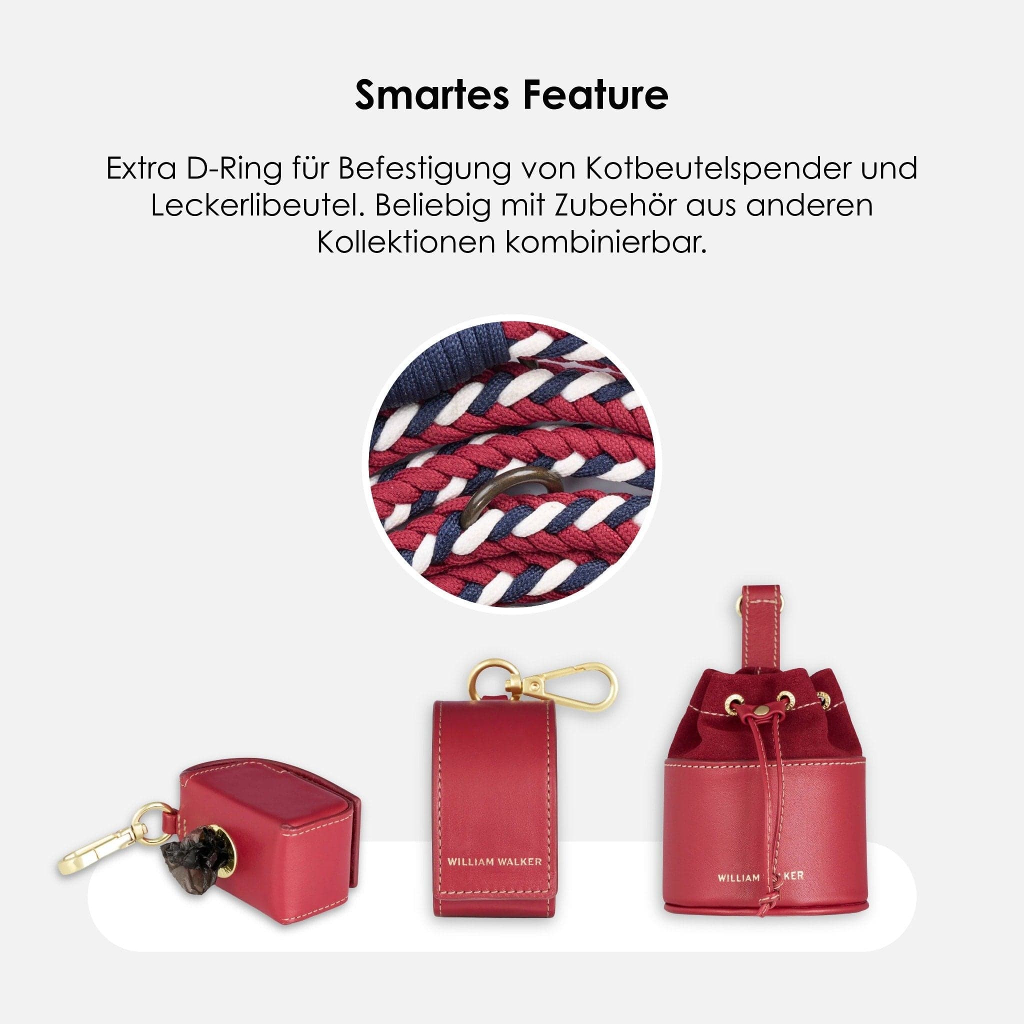 William Walker Paracord Hundeleine Royal // Limited