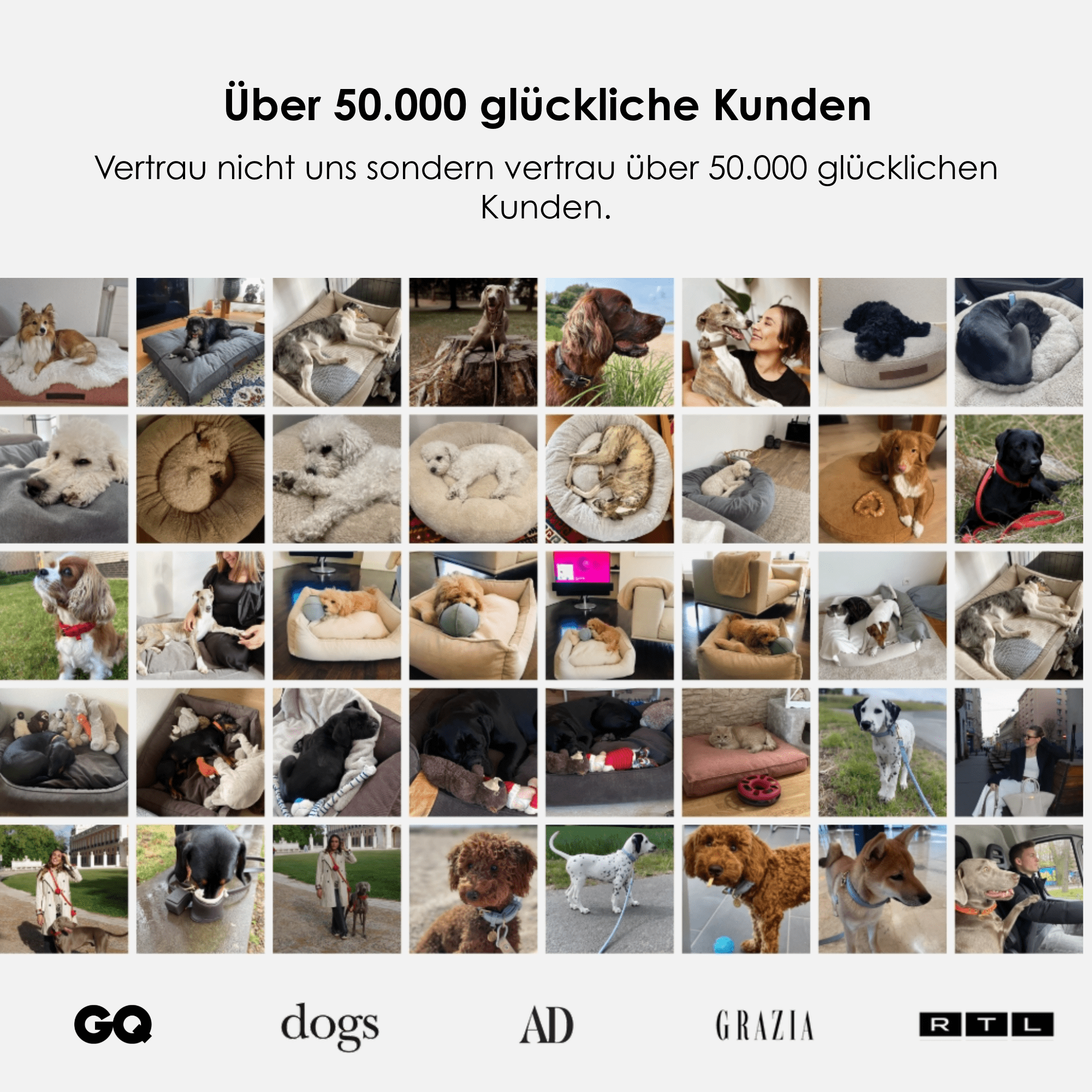 William Walker Orthopädisches Hundebett Sand (Beige)