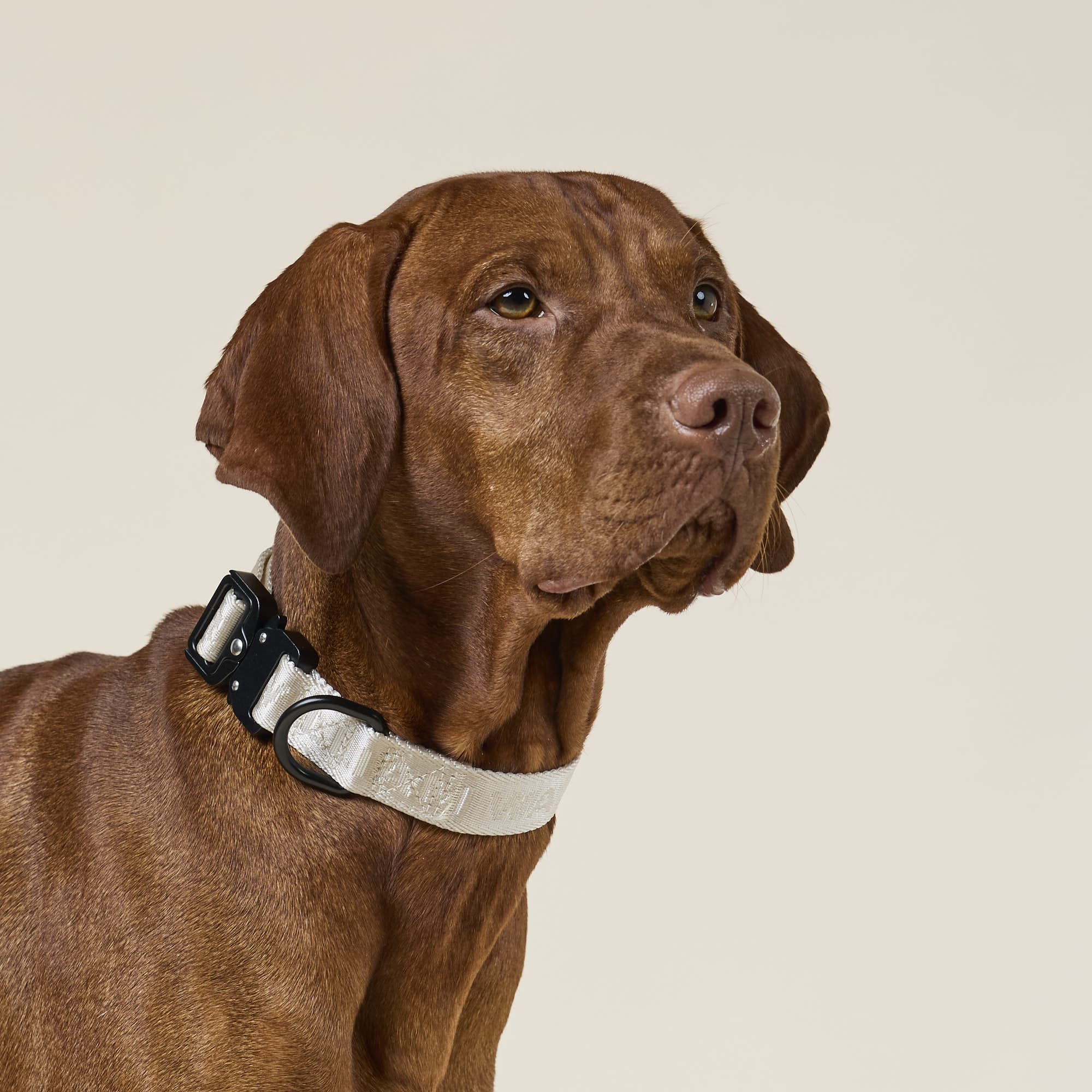 William Walker Jacquard Nylon Hundehalsband Sand (beige)