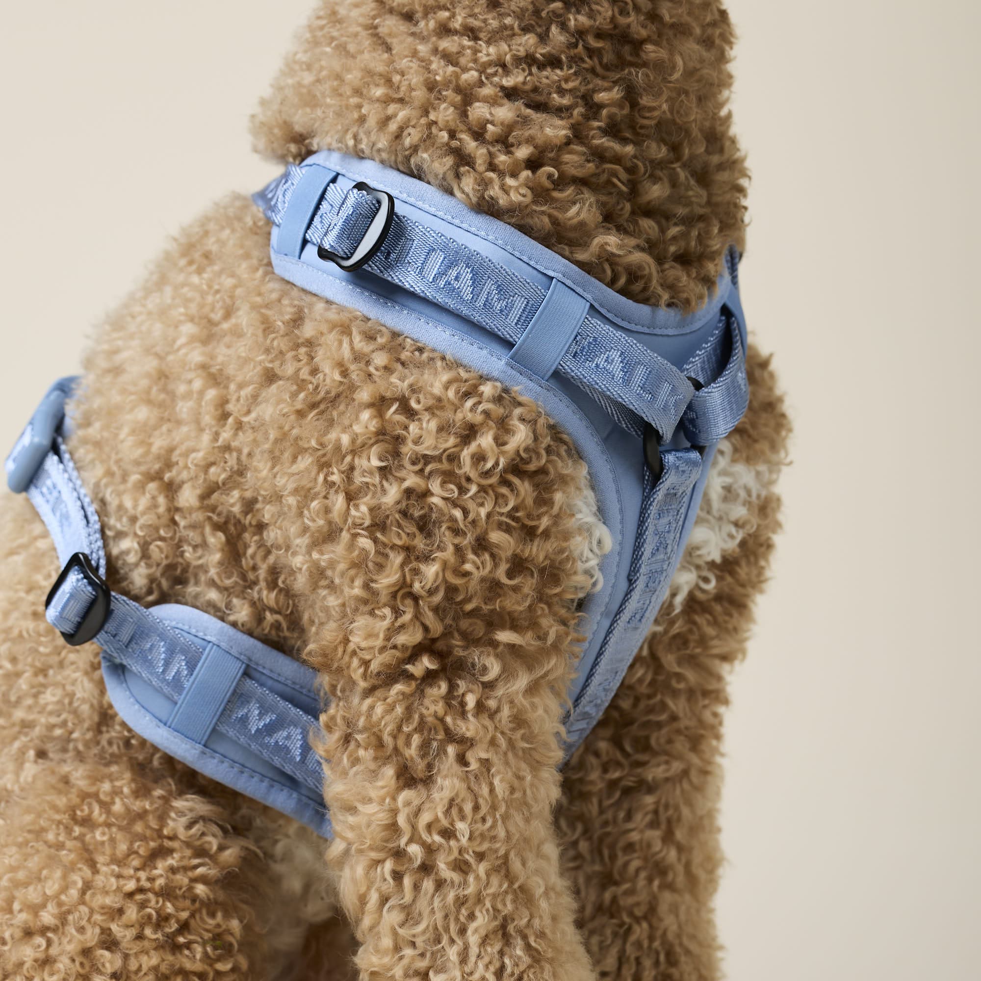 William Walker Walking Set Apex Sky