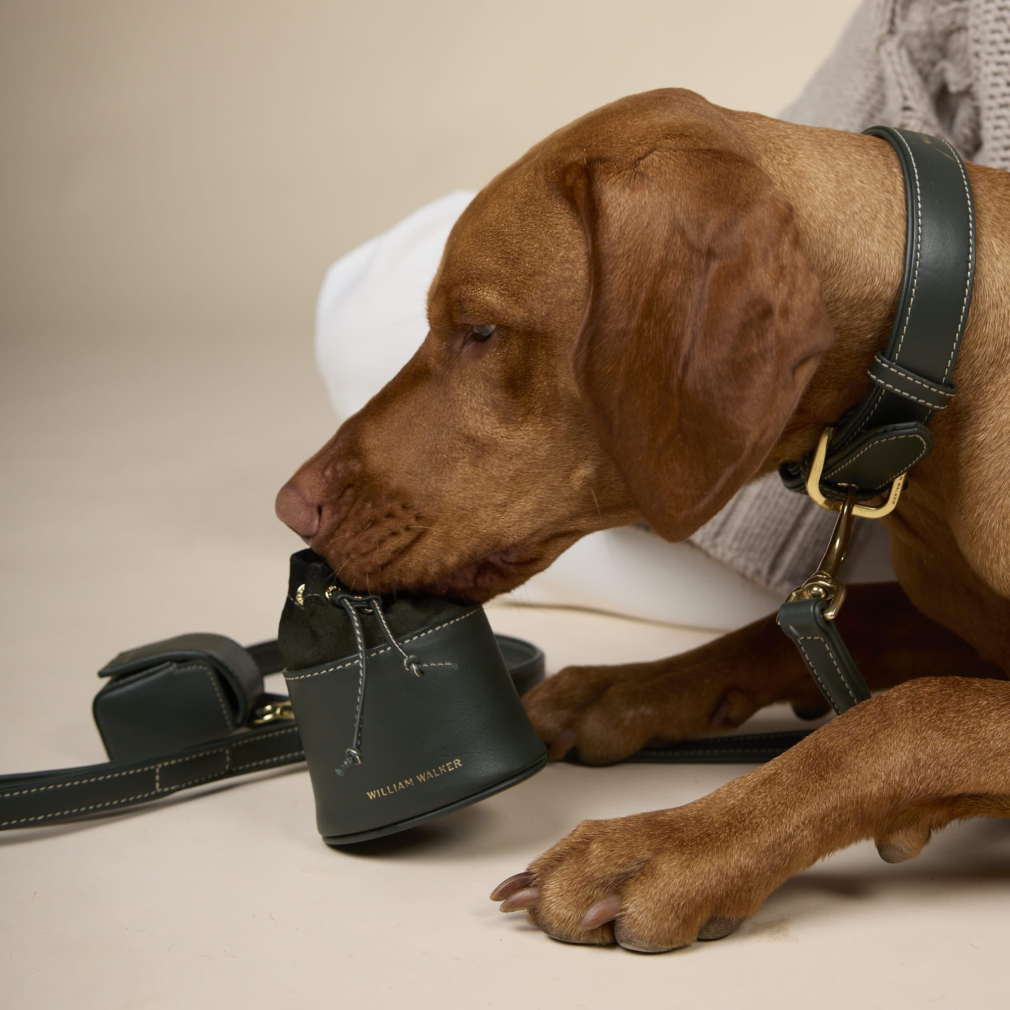 William Walker Leckerlibeutel Forest