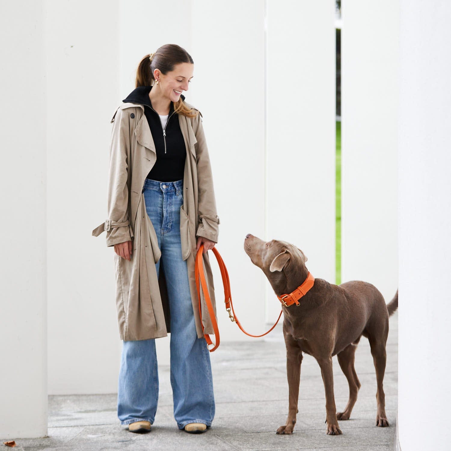 William Walker Hochwertige Leder Hundeleine Amber (Orange)