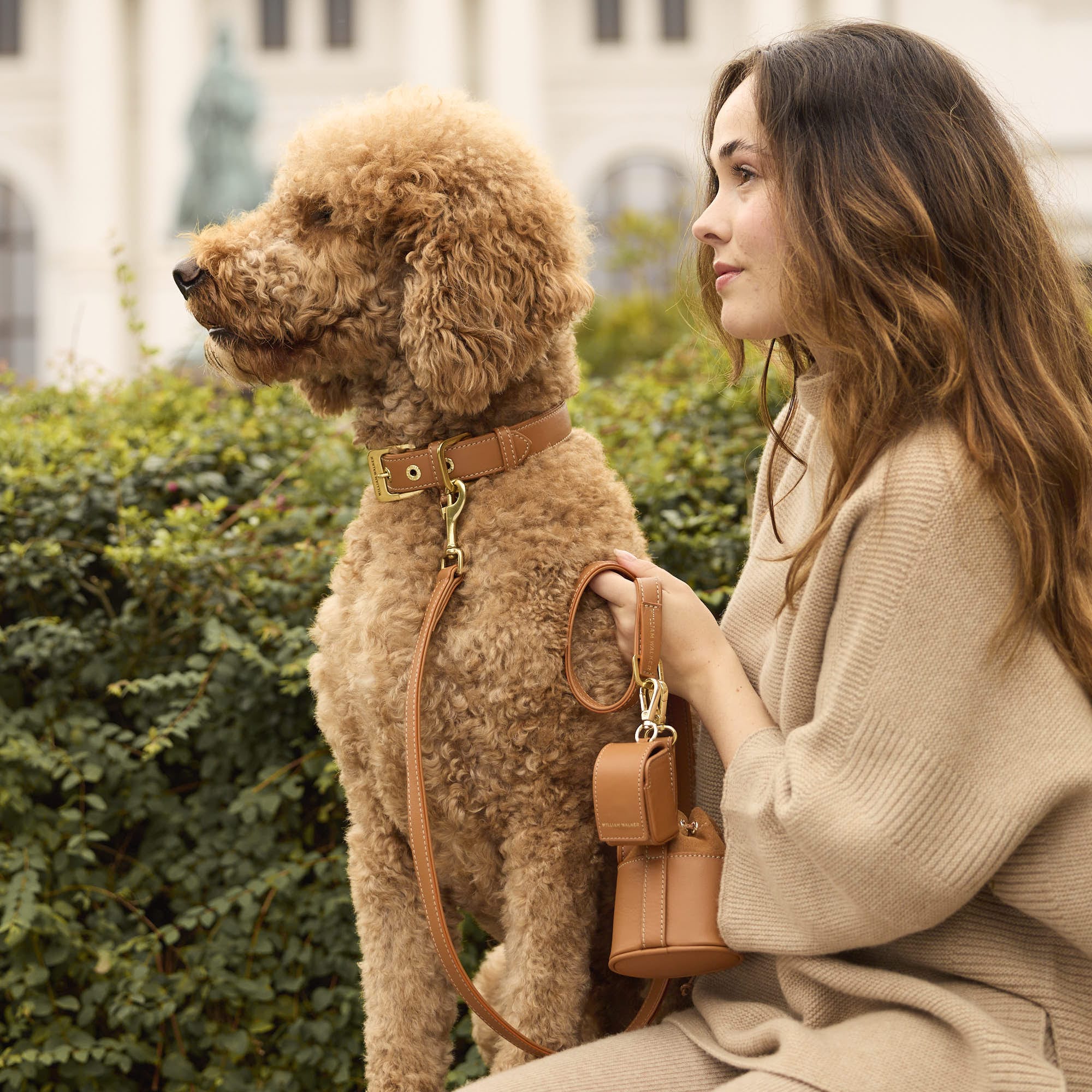 William Walker Glattleder Hundehalsband Caramel