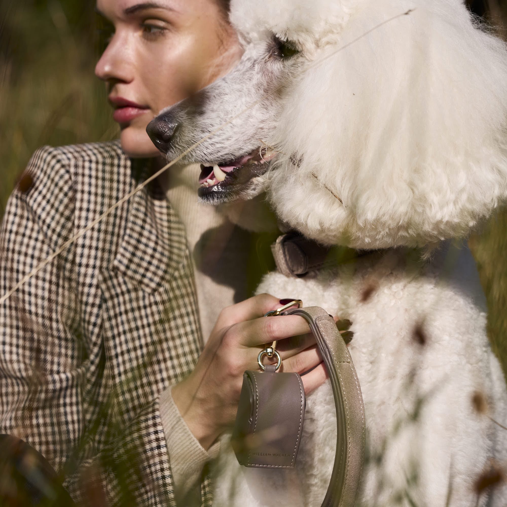 William Walker Hochwertige Wildleder Hundeleine Pebble (Taupe)