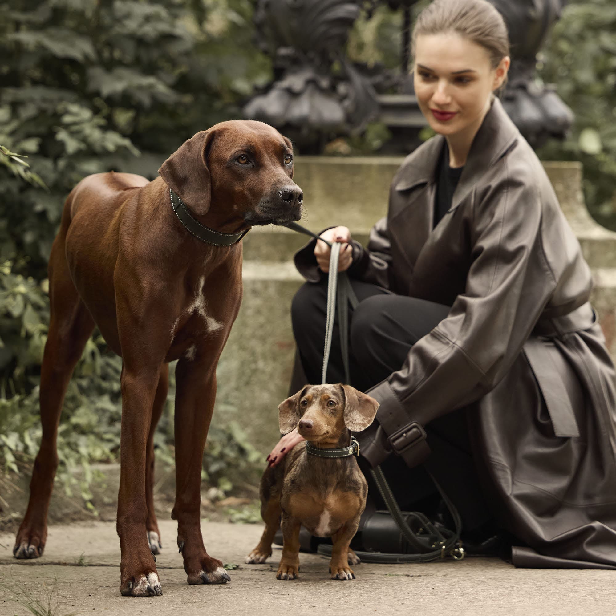 William Walker Hochwertige Wildleder Hundeleine Forest (Grün)