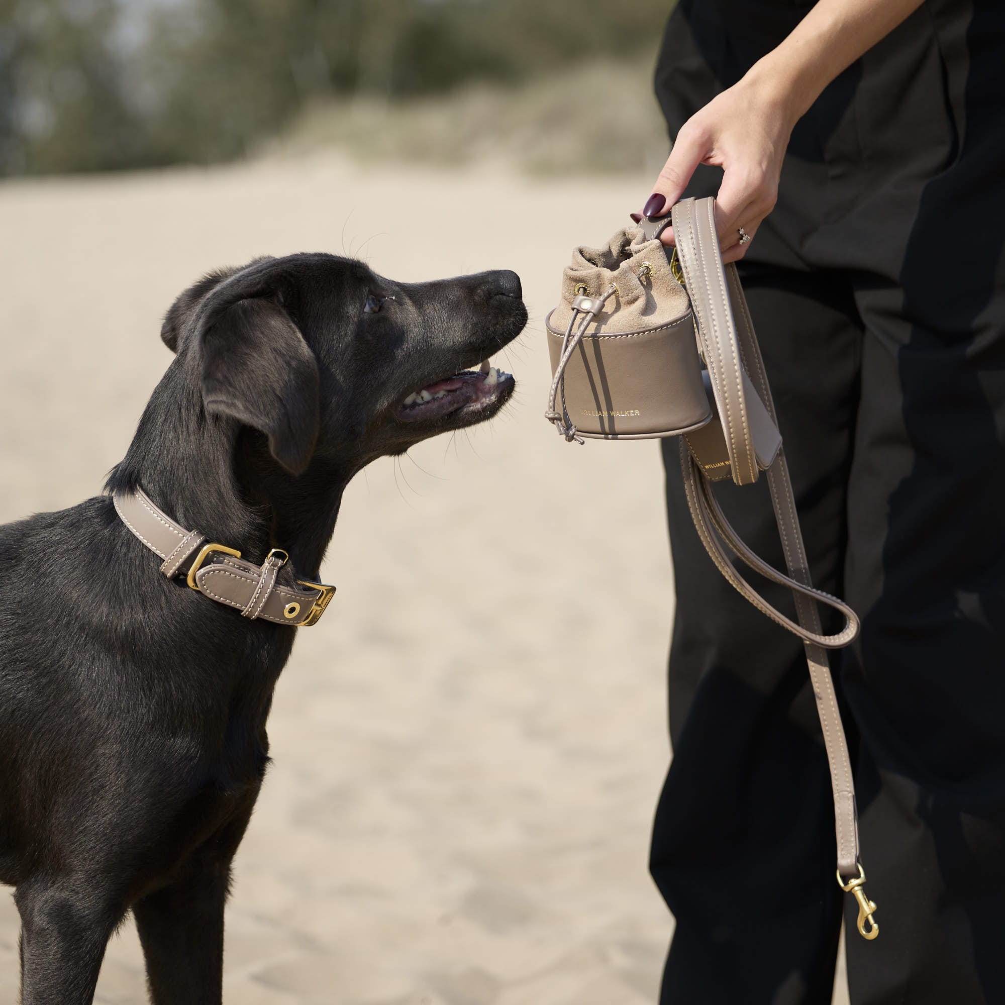 William Walker Glattleder Hundehalsband Pebble (Taupe)
