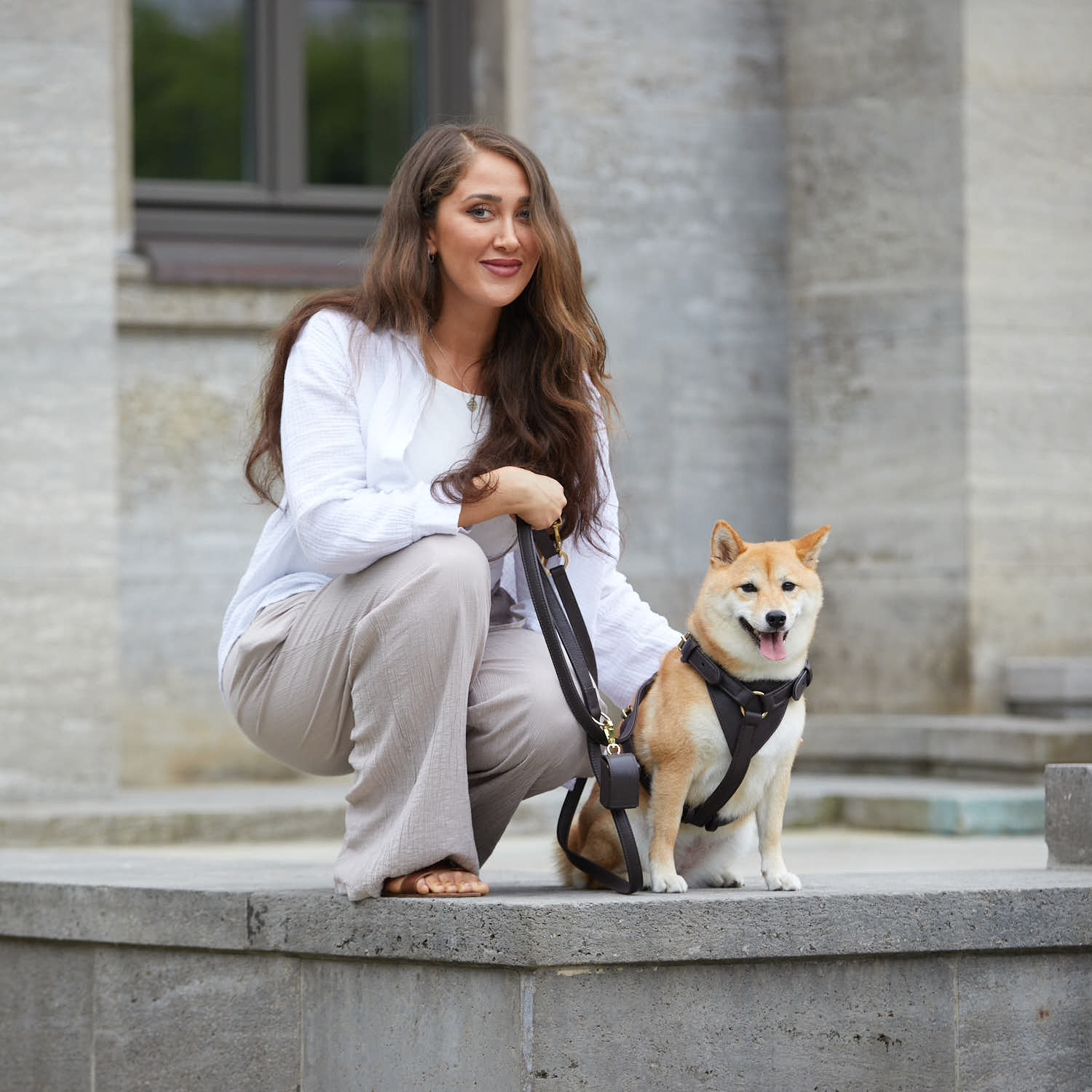 William Walker Hochwertige Leder Hundeleine Earth (Braun)