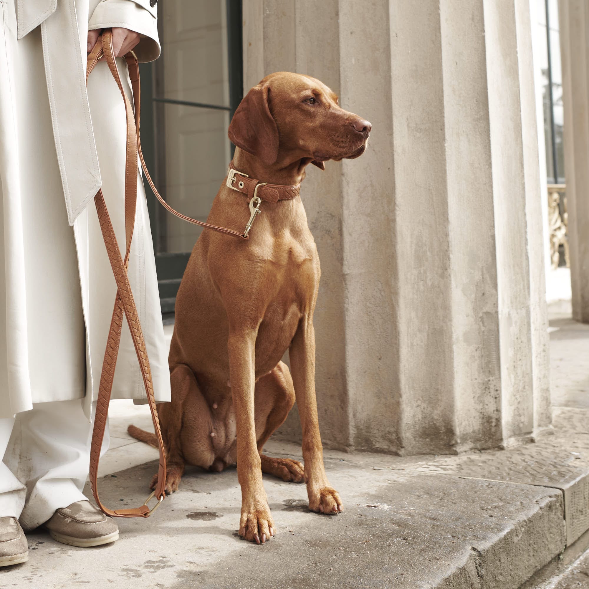 William Walker Prestige Bundle