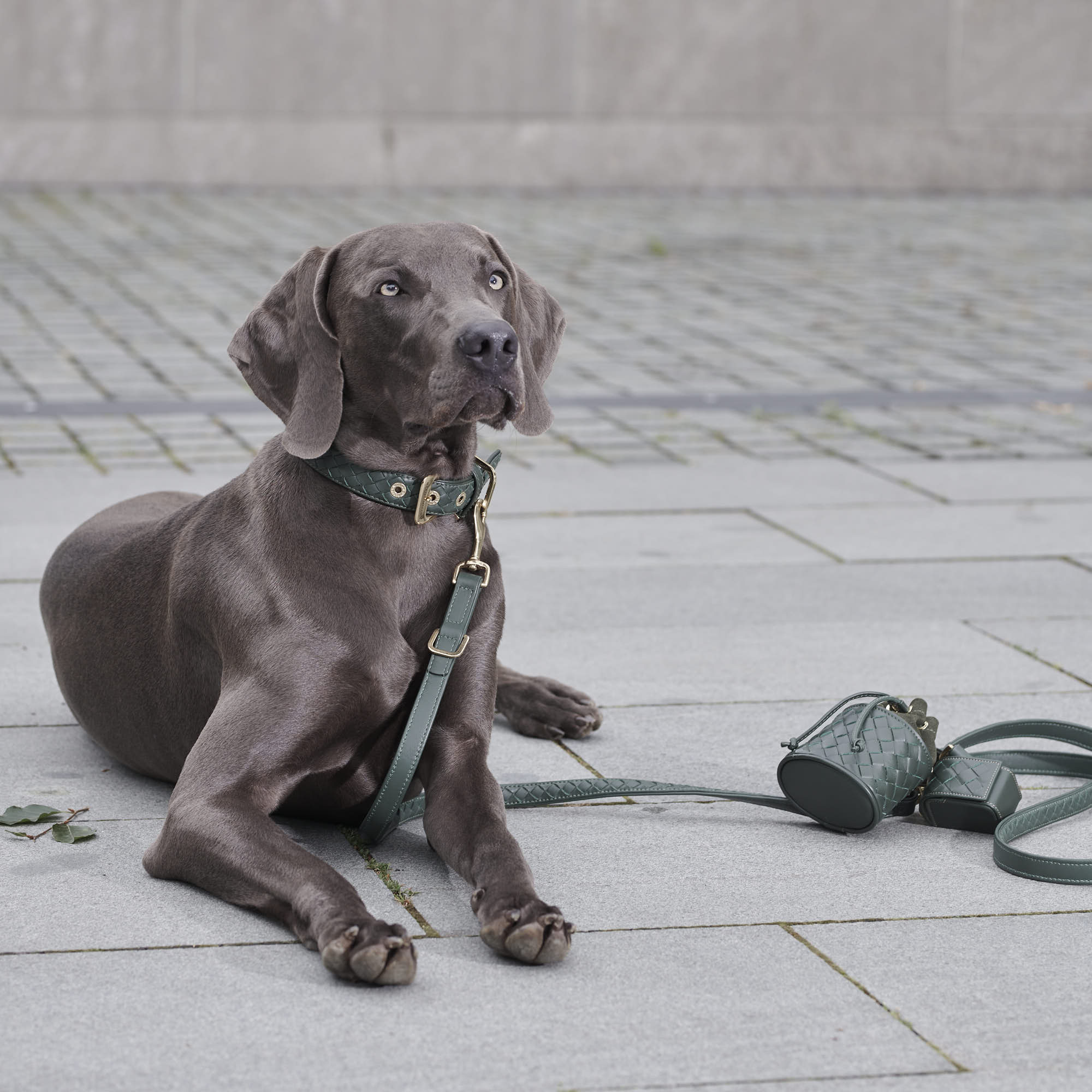 William Walker Kotbeutelspender Prestige Forest (Waldgrün)