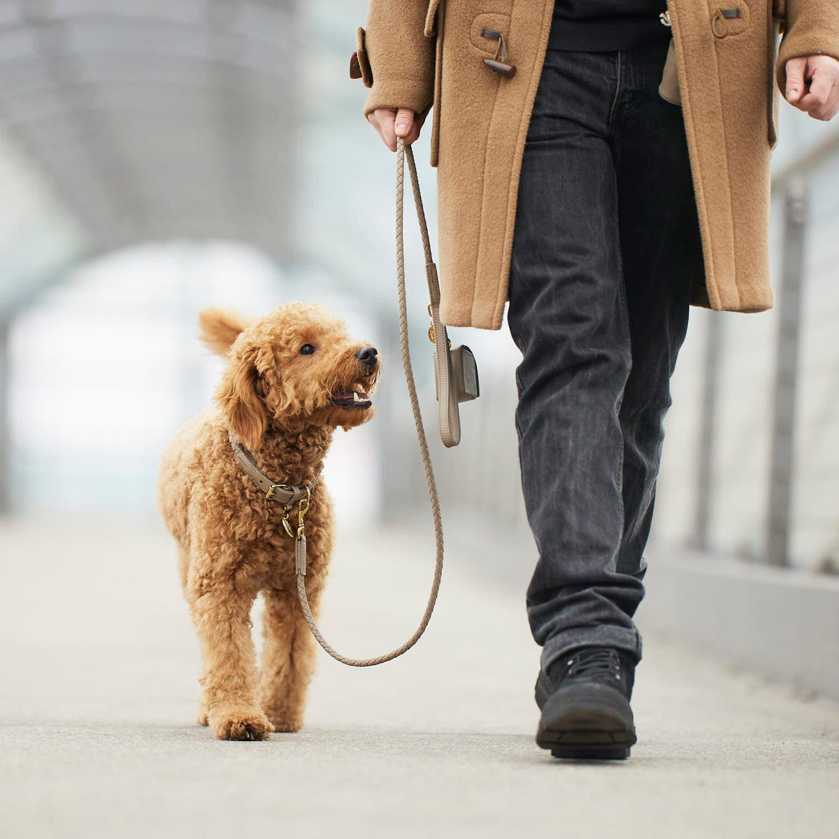 William Walker Laisse pour chien en cuir haut de gamme Twisted Sand (Beige)