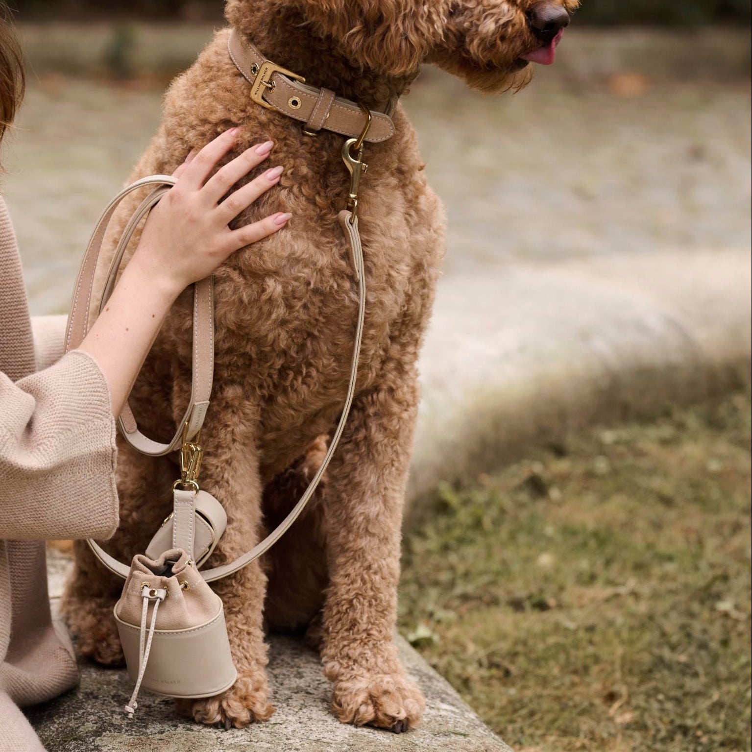 William Walker Hochwertige Wildleder Hundeleine Almond (Beige)