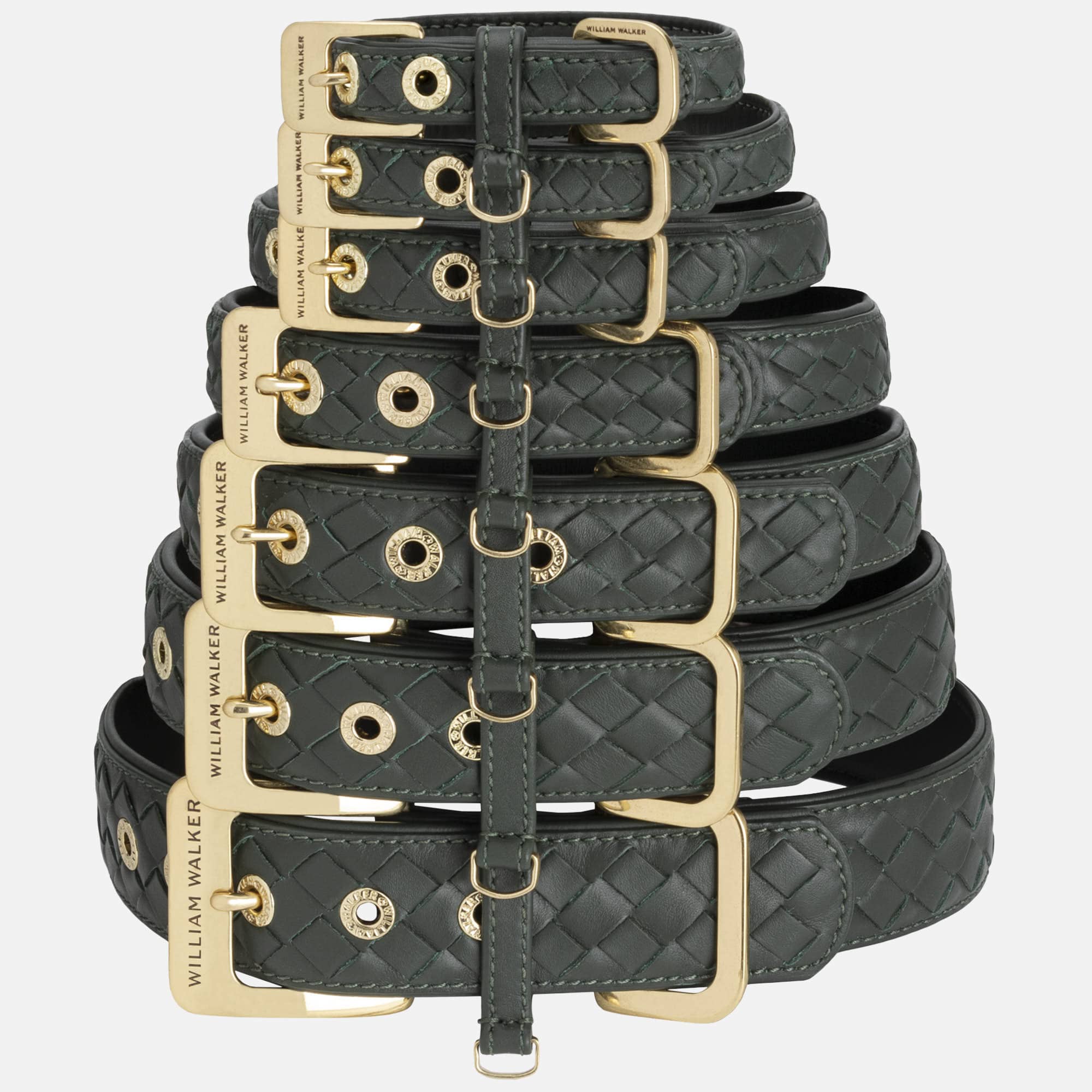 William Walker Leder Hundehalsband Prestige Forest (Waldgrün)