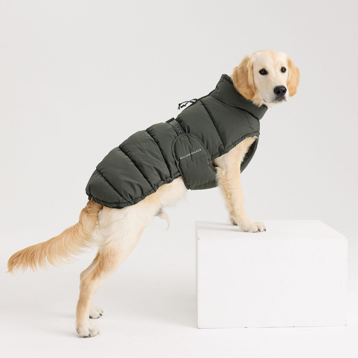 William Walker Cappottino invernale caldo per cani Alpine