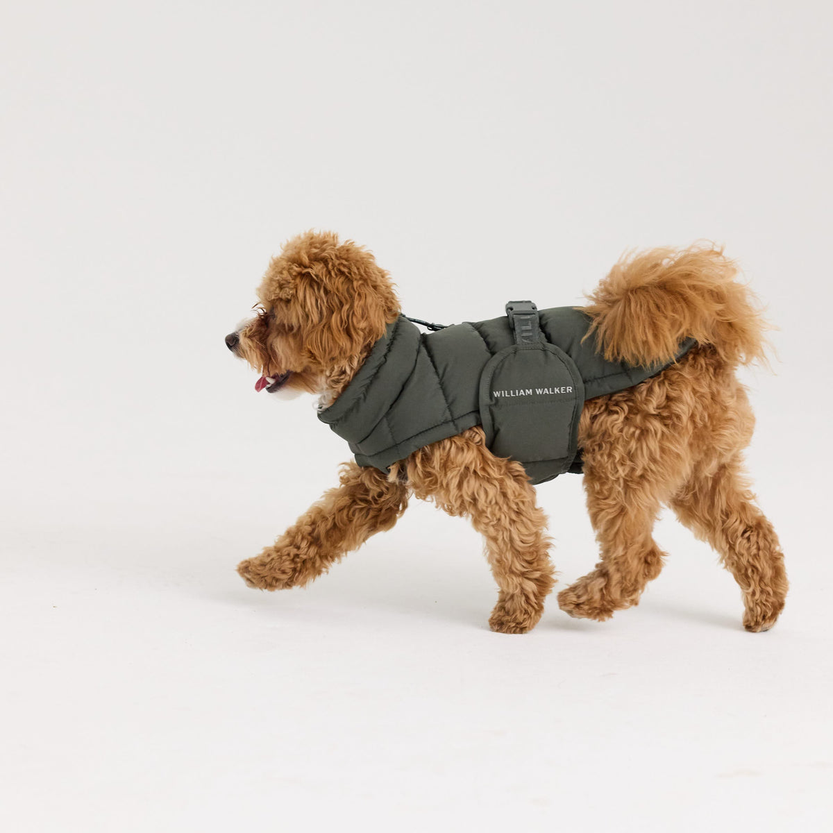 William Walker Cappottino invernale caldo per cani Alpine