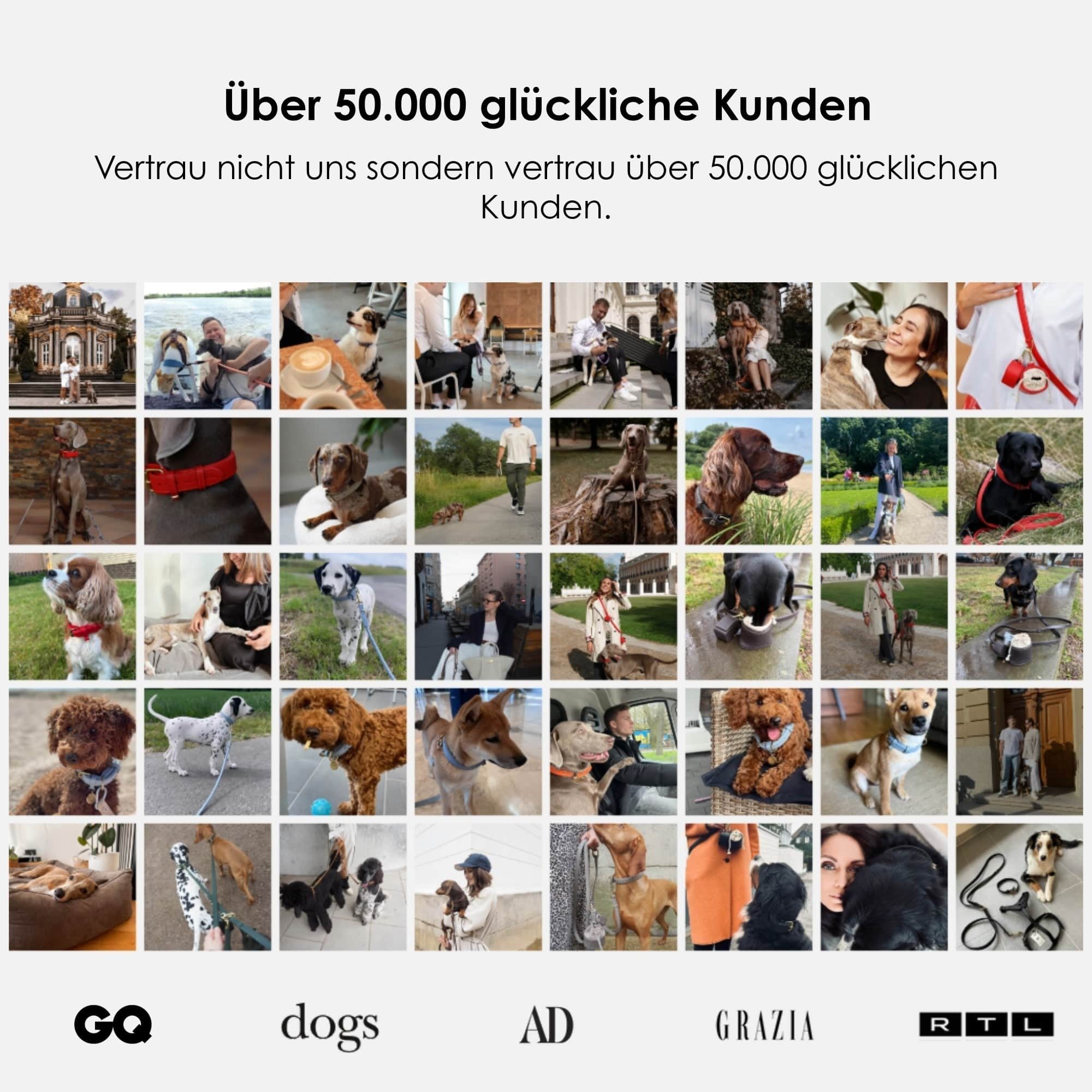 William Walker Leder Hundehalsband Dark Moss (Waldgrün)