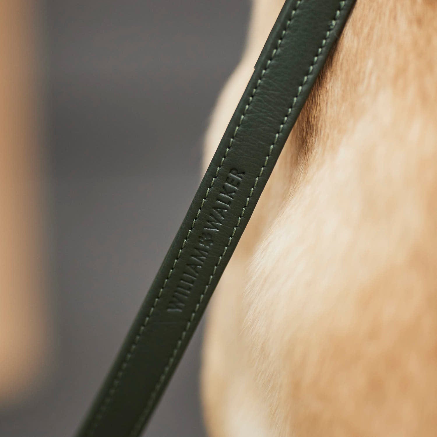 William Walker Hundeleine Dark Moss