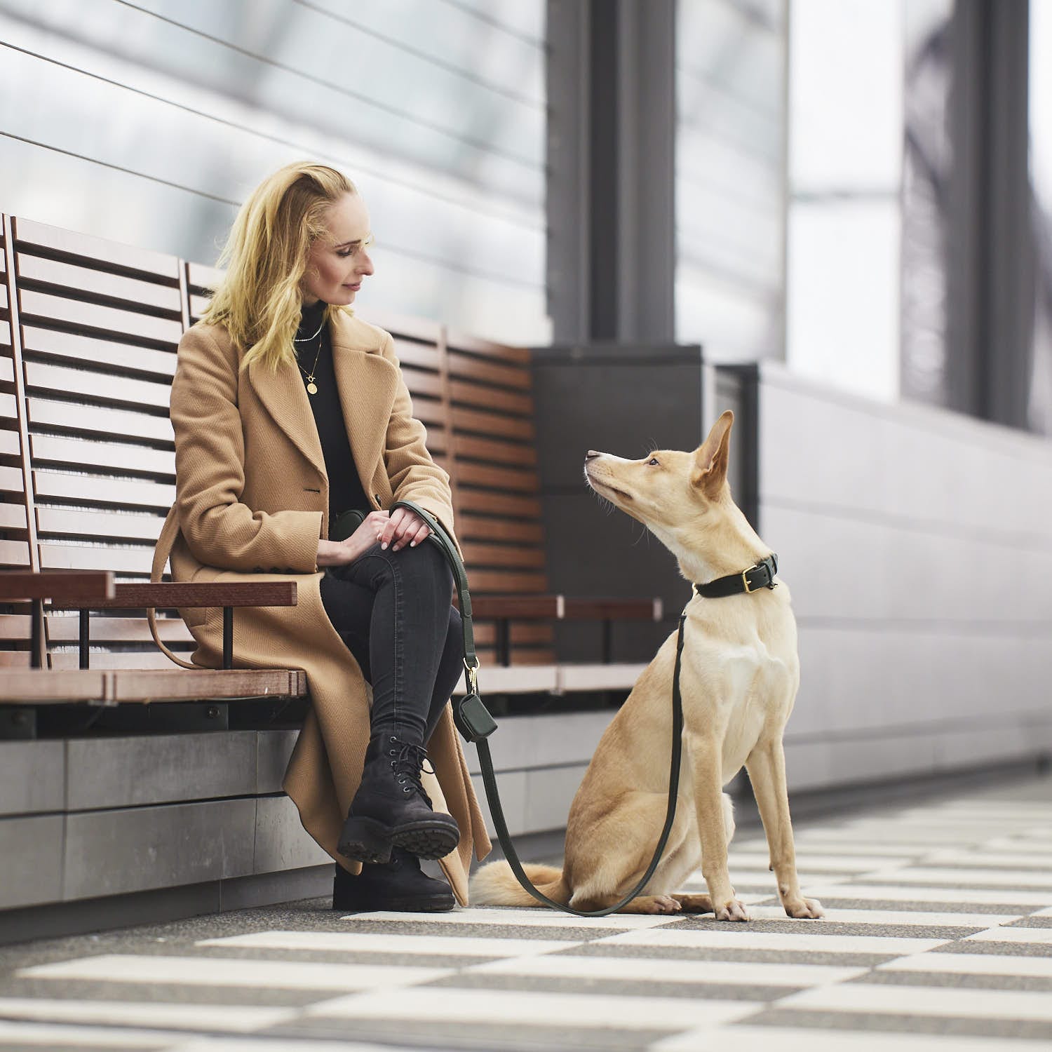 William Walker Hundehalsband Dark Moss