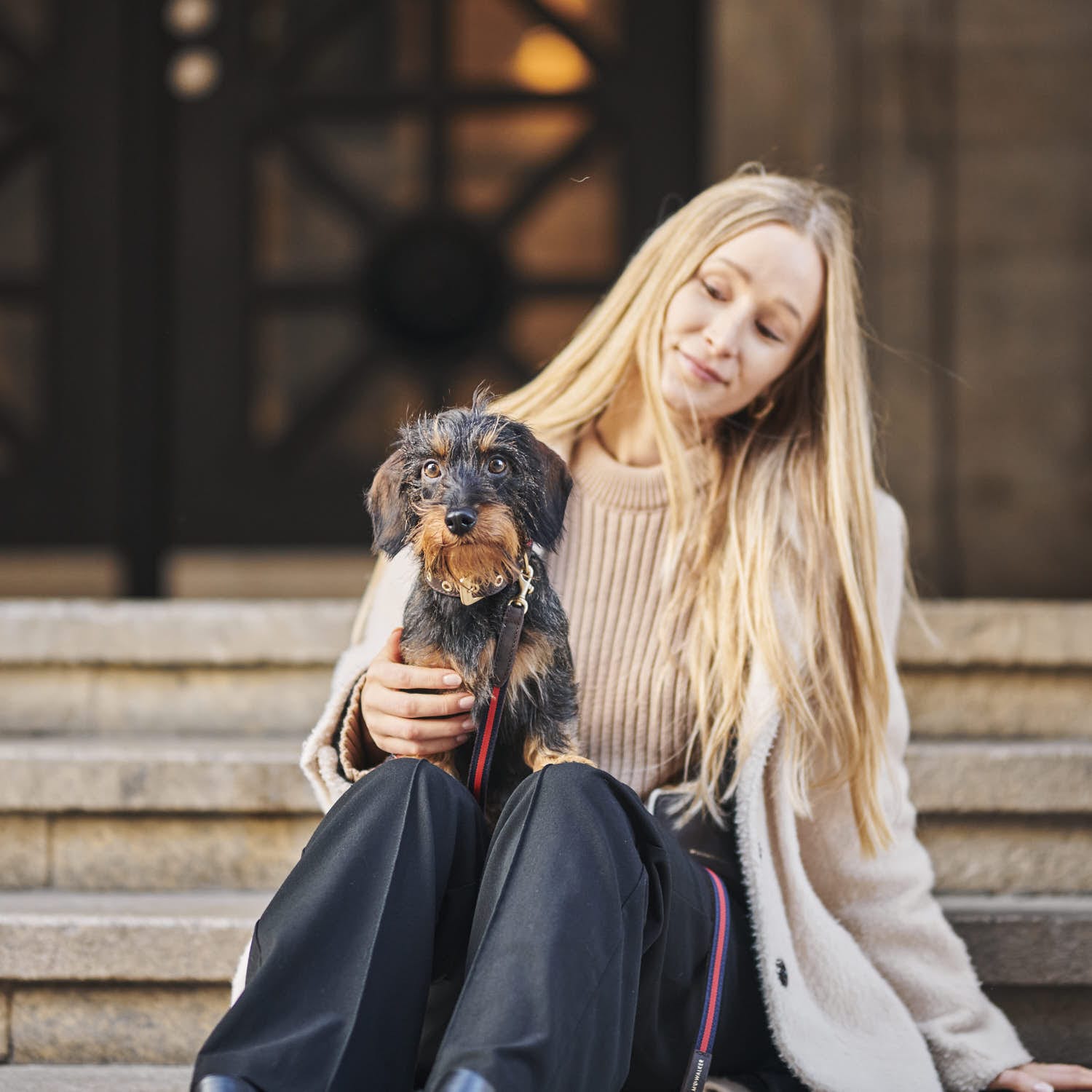 William Walker Hundehalsband Charles