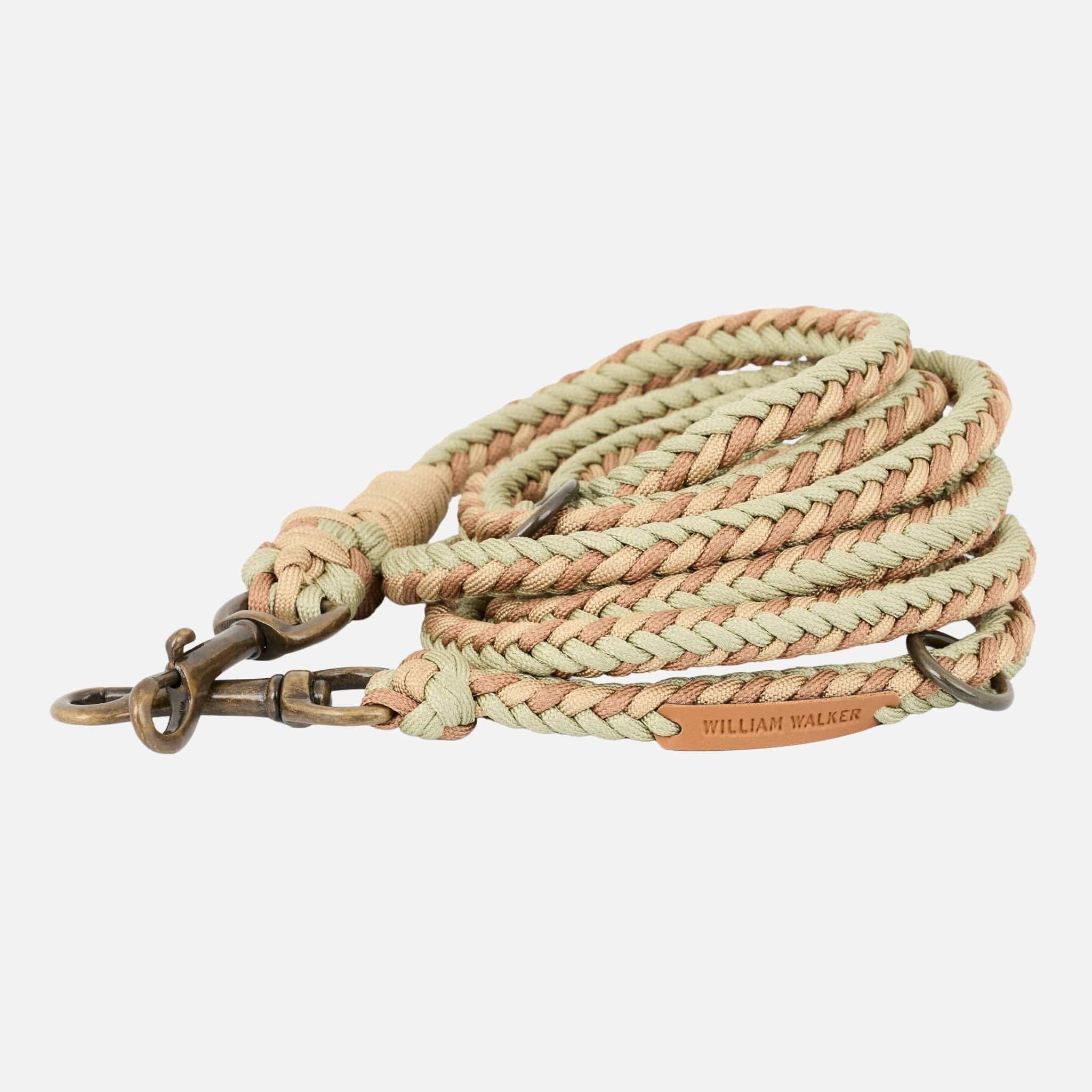 Hundeleinen Vergleich: Leder, Biothane & Paracord – So findest du die beste Hundeleine