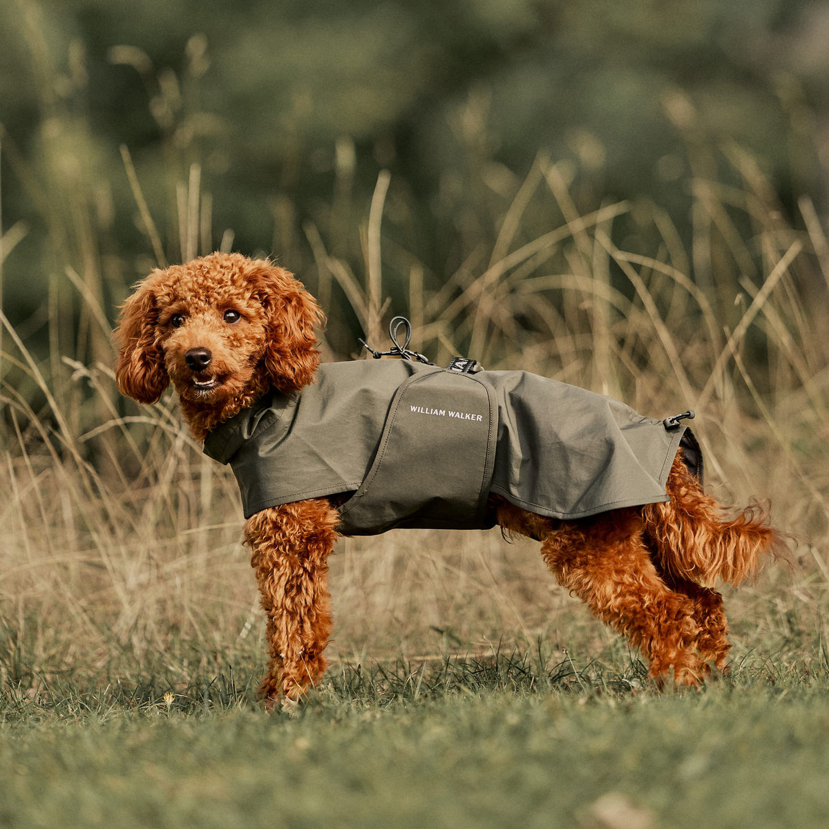 William Walker Impermeabile per cani Harbour