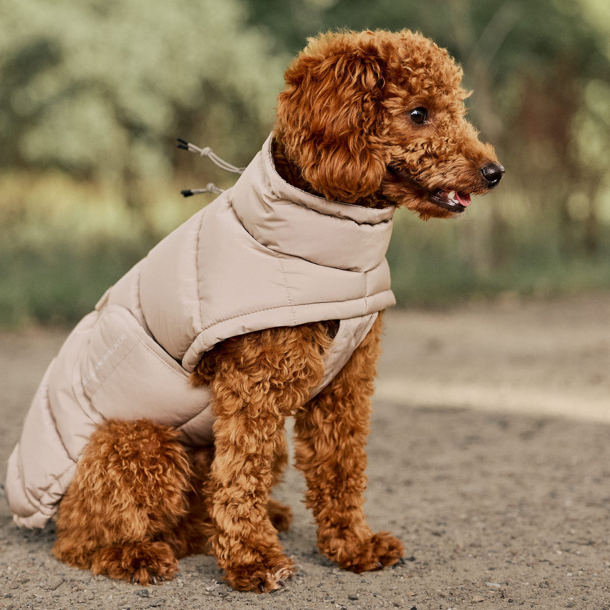 William Walker Cappottino invernale caldo per cani Alpine