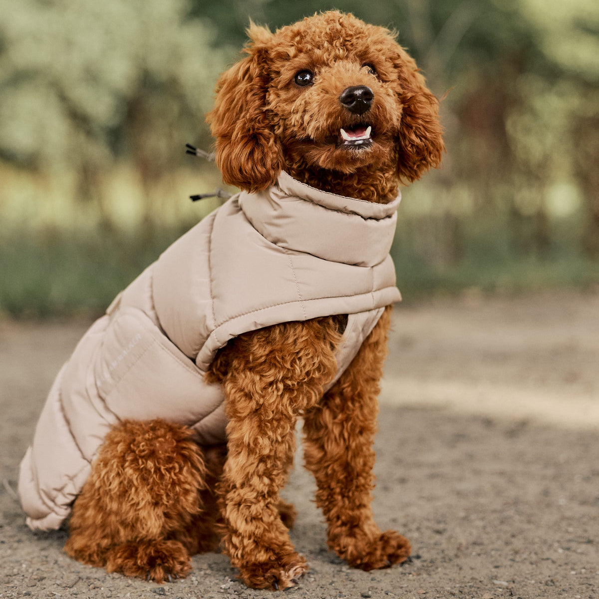 William Walker Cappottino invernale caldo per cani Alpine