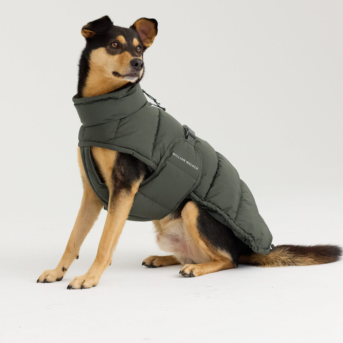 William Walker Cappottino invernale caldo per cani Alpine