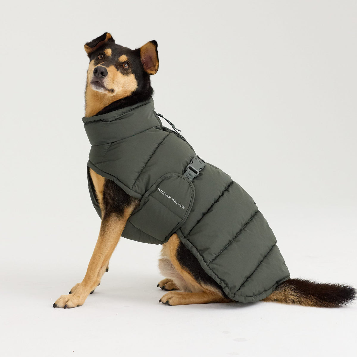 William Walker Cappottino invernale caldo per cani Alpine