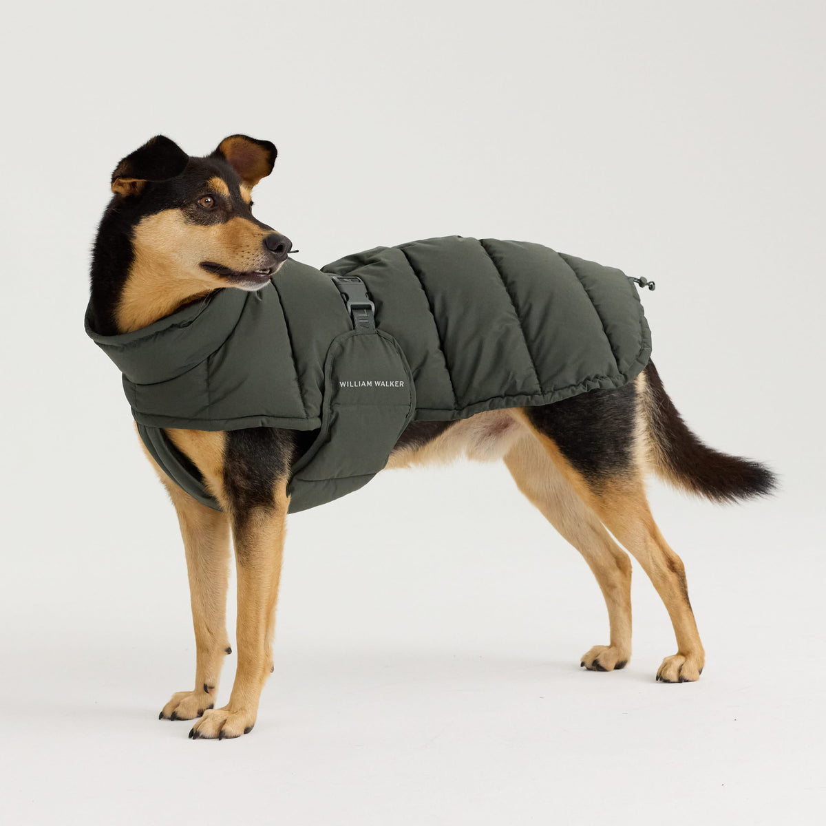 William Walker Cappottino invernale caldo per cani Alpine