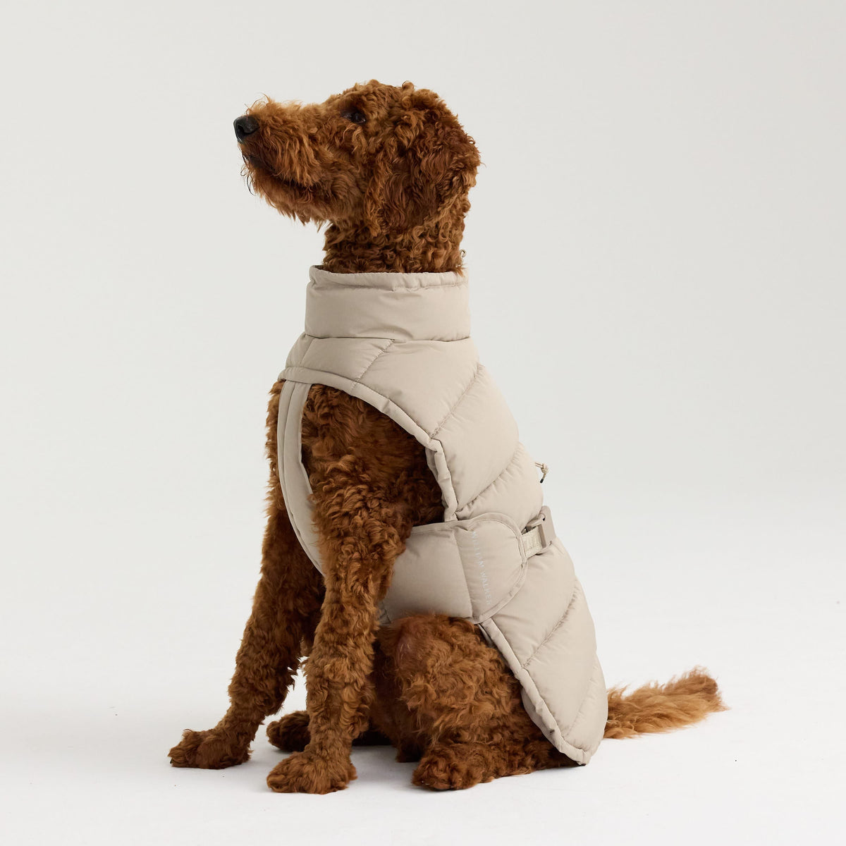 William Walker Cappottino invernale caldo per cani Alpine