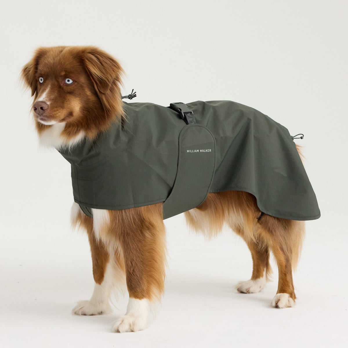 William Walker Impermeabile per cani Harbour