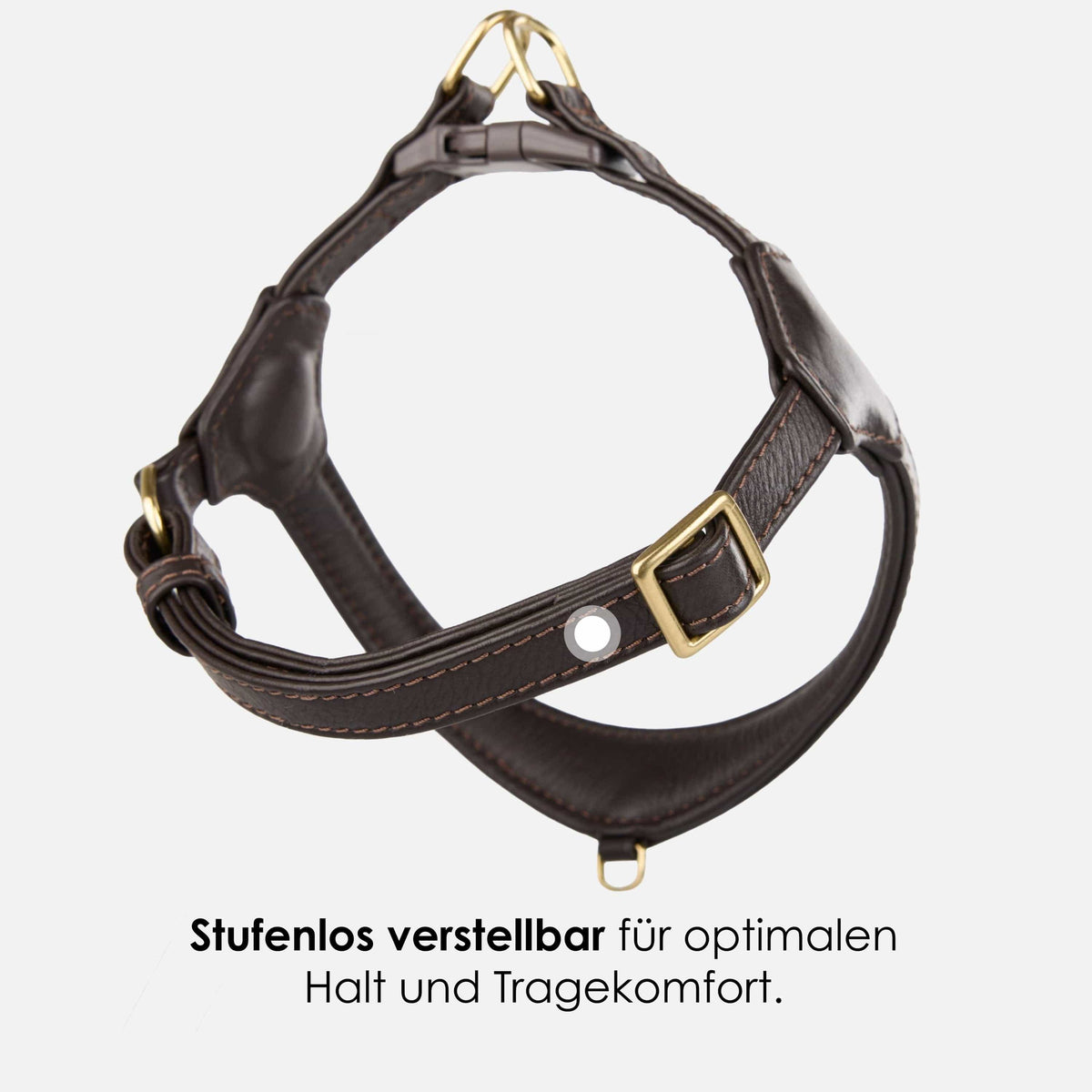 William Walker Step-In Leather Dog Harness Pico for Small Dogs Earth / 1