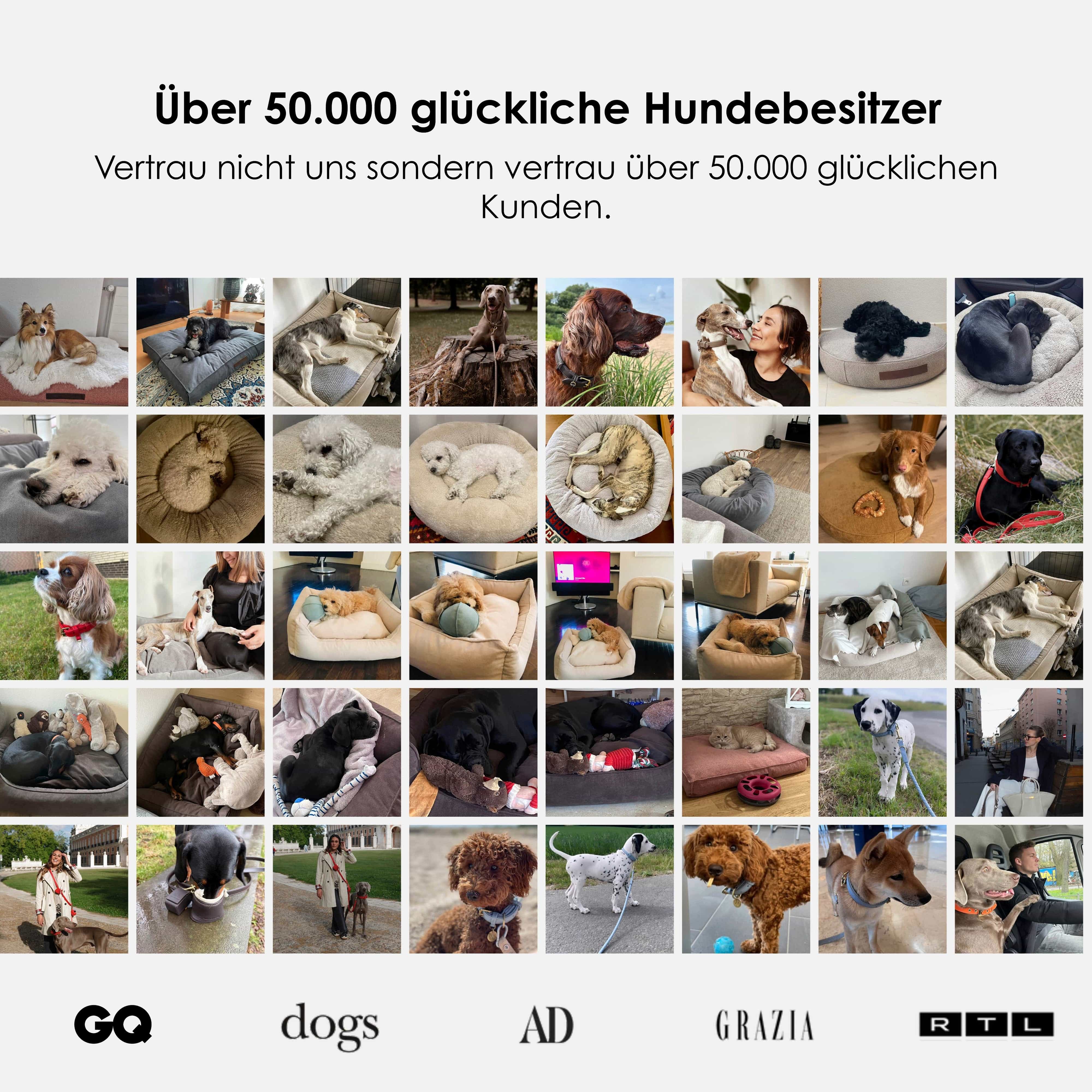 William Walker Orthopädisches Hundebett Cord