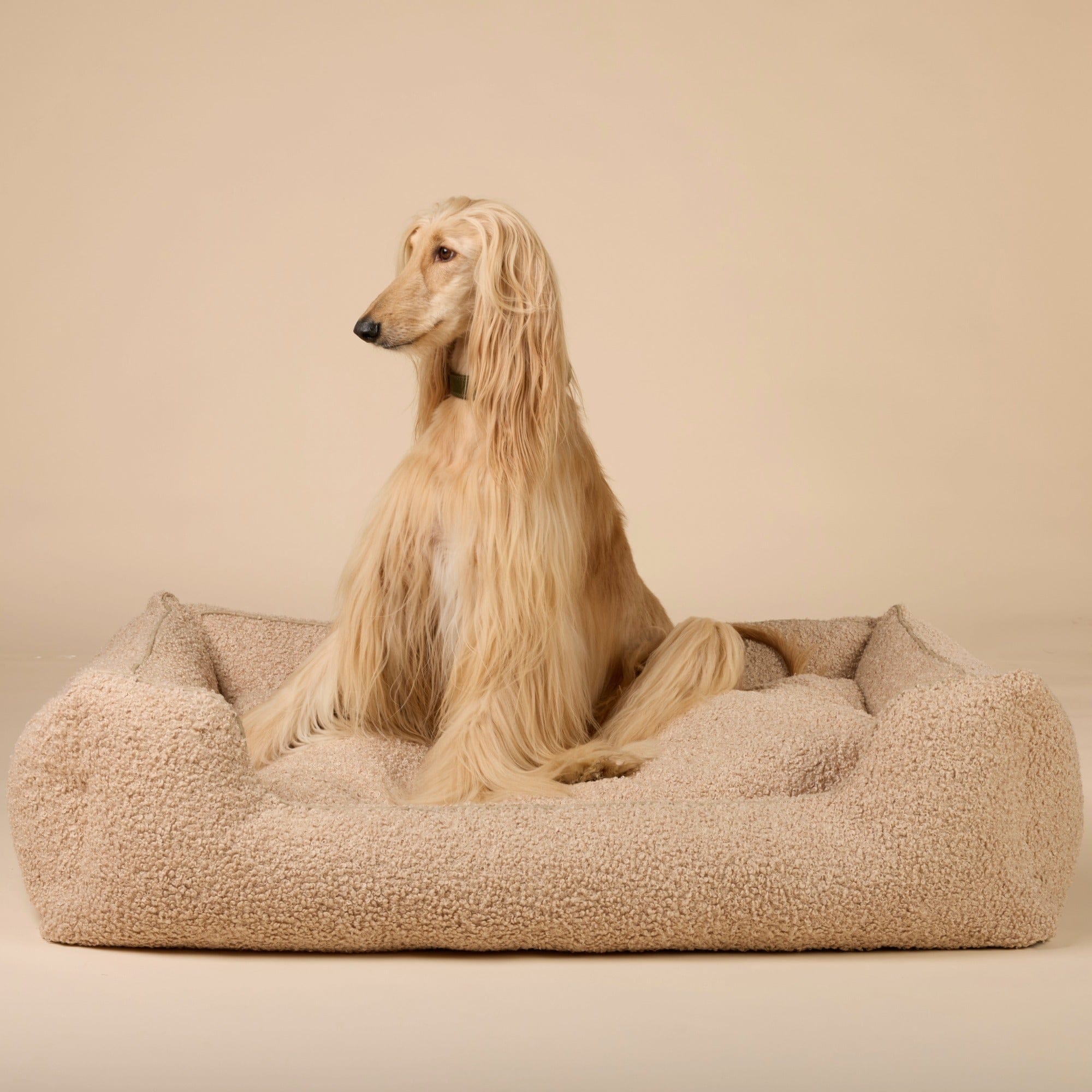 William Walker Orthopädisches Hundebett Cozy