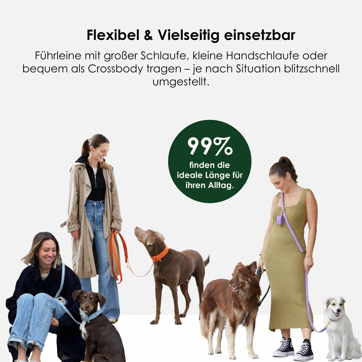 William Walker Guinzaglio per cani in pelle nubuck impermeabile regolabile senza limiti Handsfree