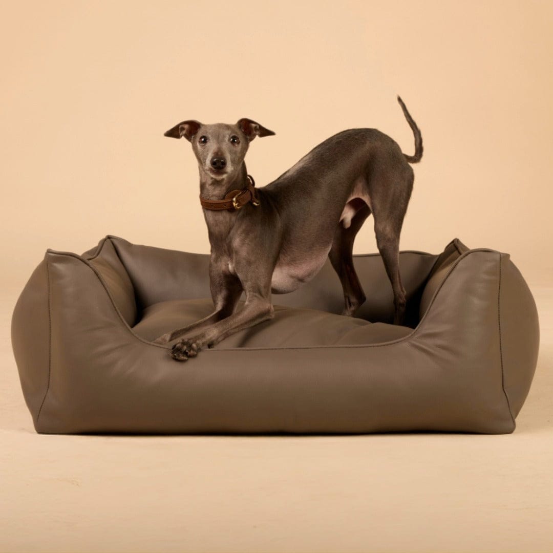 William Walker Orthopedic Dog Bed Easy Stone / S / Kissen (Flocken)