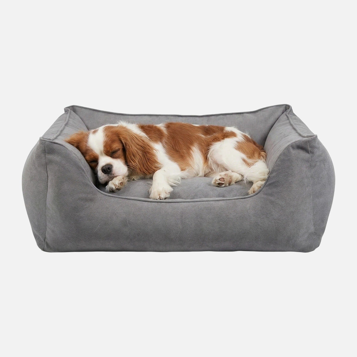 William Walker Orthopedic Plain Dog Bed Cloud / S / Kissen (Flocken)
