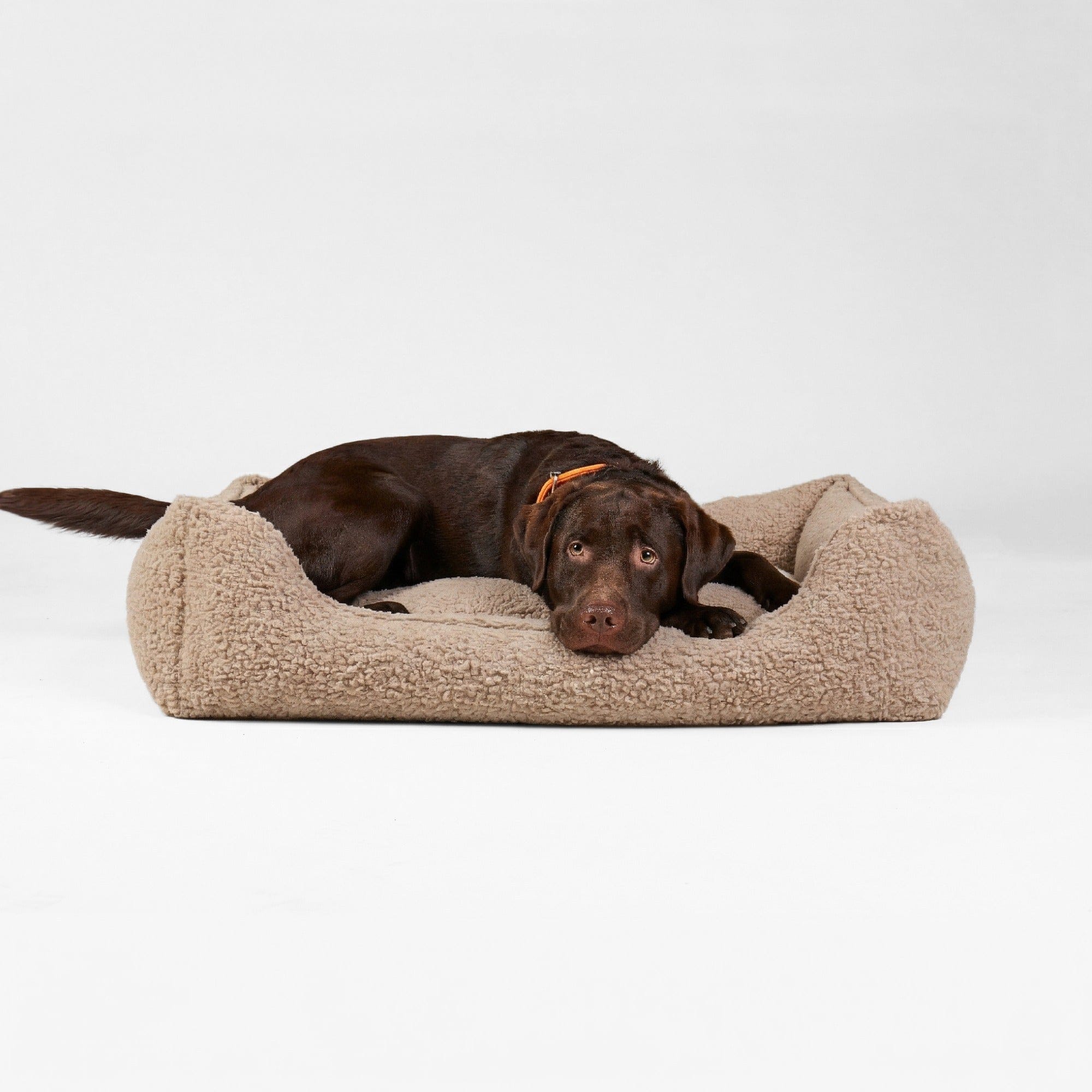 William Walker Orthopädisches Hundebett Cozy